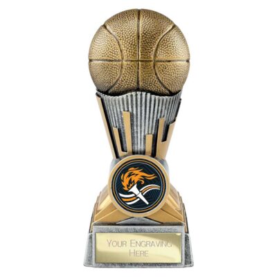 Digital Basketball Award Antique Silver & Gold 125mm PA26037A