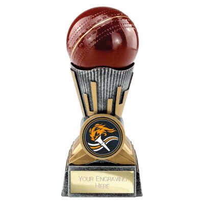 Digital Cricket Award Antique Silver & Gold 125mm PA26038A