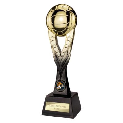Extreme Netball Gold & Carbon Black 260mm PA26060A