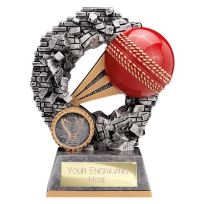Blast Out Cricket Award Antique Silver 140mm RF25090B