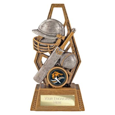 Immense Cricket Award Antique Silver & Gold 150mm RF26103A