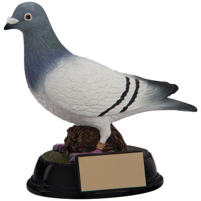 Pigeon Racing Trophies