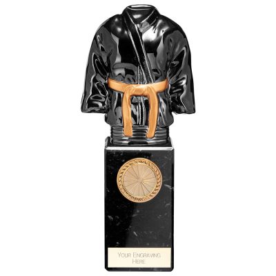 Martial Arts Trophies