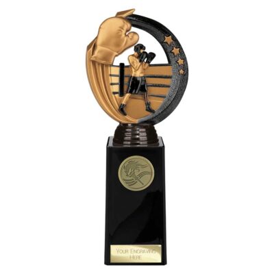 Renegade Legend Boxing Award Black 225mm TH22436E