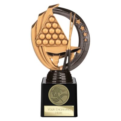 Renegade Legend Snooker Award Black 175mm TH22444C
