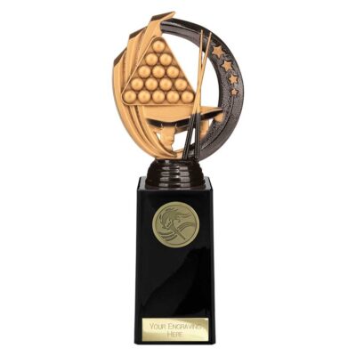 Renegade Legend Snooker Award Black 225mm TH22444E