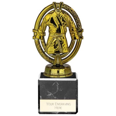 Maverick Legend Martial Arts Award Fusion Gold 150mm TH24115C