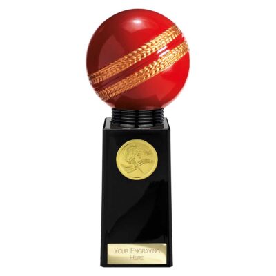 Valiant Legend Cricket Award 195mm TH25668E