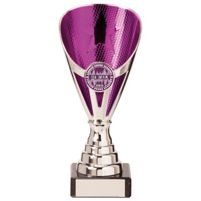 Rising Stars Premium Plastic Trophy Silver & Purple 170mm TR20539A