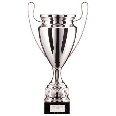 EuroStars Cup Silver 450mm TR22521D