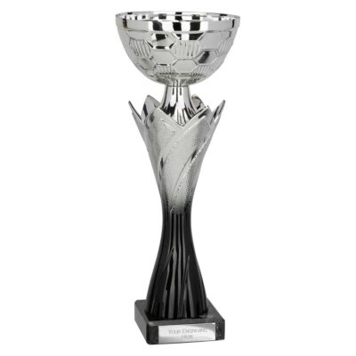 Blade Trophy Silver & Black 260mm TR25567B