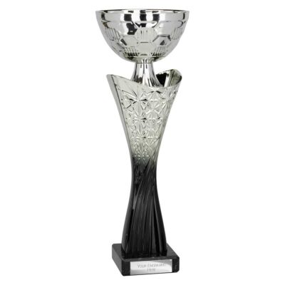 Spark Trophy Silver & Black 285mm TR25577A