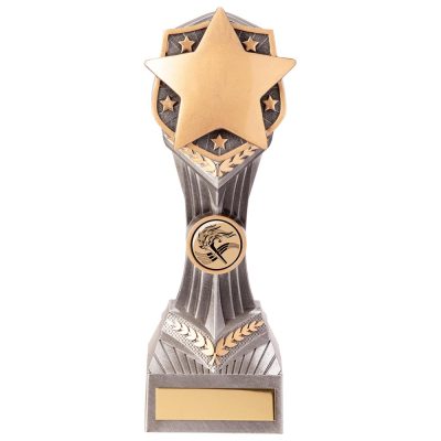 Falcon Achievement Star Award 220mm PA20060D