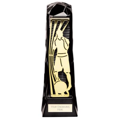 Shard Boxing Award Black & Gold 230mm PA23026A