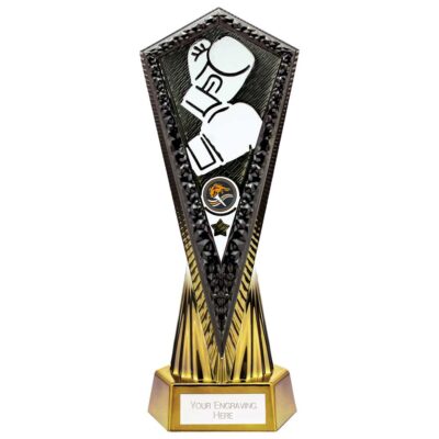 Inferno Boxing Award Carbon Black & Fusion Gold 270mm PA24027A