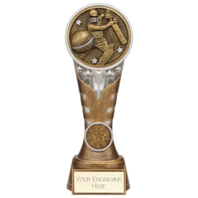 Ikon Tower Cricket Batsman Award Antique Silver & Gold 200mm PA24158D