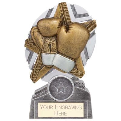 The Stars Boxing Plaque Award Silver & Gold 130mm PA24242A