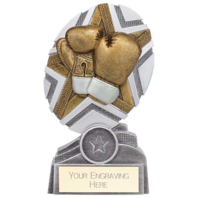 The Stars Boxing Plaque Award Silver & Gold 150mm PA24242B