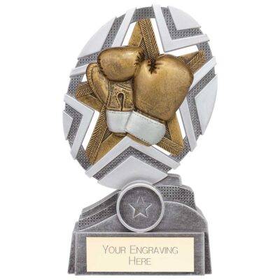 The Stars Boxing Plaque Award Silver & Gold 170mm PA24242C