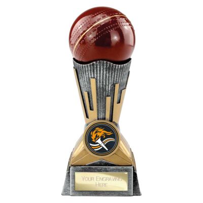 Digital Cricket Award Antique Silver & Gold 150mm PA26038B