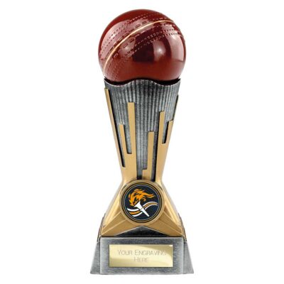 Digital Cricket Award Antique Silver & Gold 175mm PA26038C