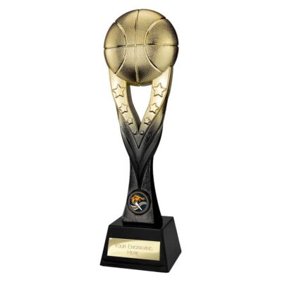 Extreme Basketball Gold & Carbon Black 290mm PA26061B