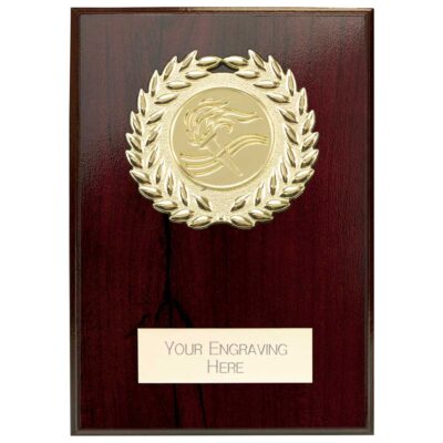 Reward Wreath Plaque Cracked Cherry 100x75mm PL24578B