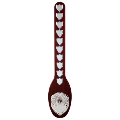 Milestone Annual Spoon Plaque 600mm PS20553A