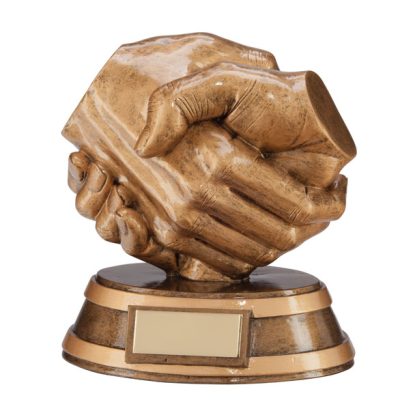 Respect Handshake Award 120mm RF3216A
