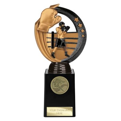 Renegade Legend Boxing Award Black 200mm TH22436D