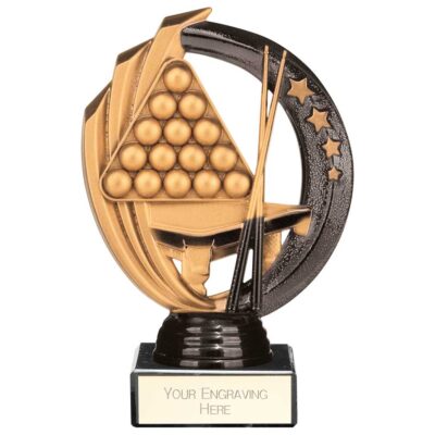 Renegade Legend Snooker Award Black 145mm TH22444A