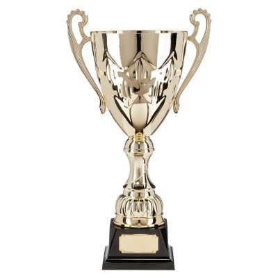 Presentation Cups & Bowls