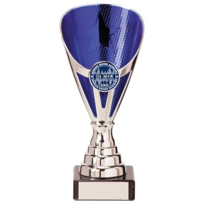 Rising Stars Premium Plastic Trophy Silver & Blue 170mm TR20538A