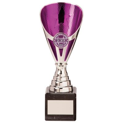 Rising Stars Premium Plastic Trophy Silver & Purple 200mm TR20539C