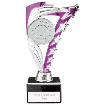 Frenzy Multisport Trophy Silver & Purple 195mm TR24513B