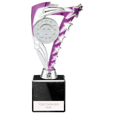 Frenzy Multisport Trophy Silver & Purple 215mm TR24513C