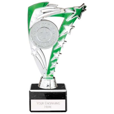Frenzy Multisport Trophy Silver & Green 195mm TR24613B