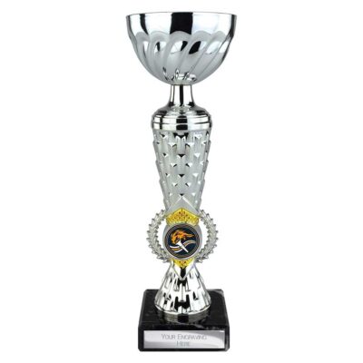 Energy Trophy Silver & Gold 235mm TR26213A