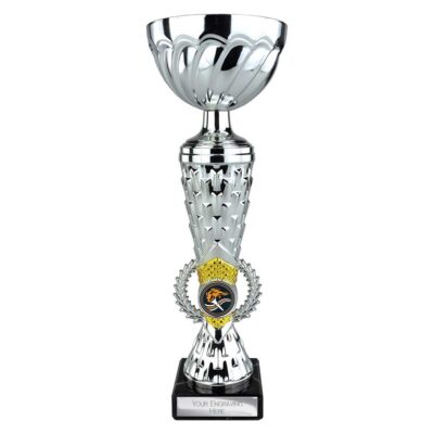 Energy Trophy Silver & Gold 275mm TR26213B