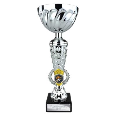 Energy Trophy Silver & Gold 295mm TR26213C