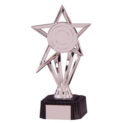 High Star Silver Award 195mm TR4868A