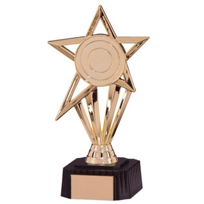 High Star Gold Award 195mm TR4869A